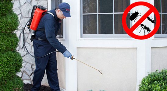 Çeşme Kene İlaçlama böcek ilaçlama ve haşere kontrolü — ilaclama-tr.com